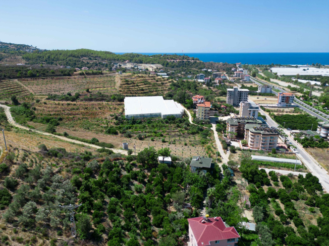 New complex in Demirtas area