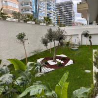 Ready-to-move-in 1+1 Apartment with Luxurious Facilities in Mahmutlar – 2-Year Interest-Free Installment Plan!