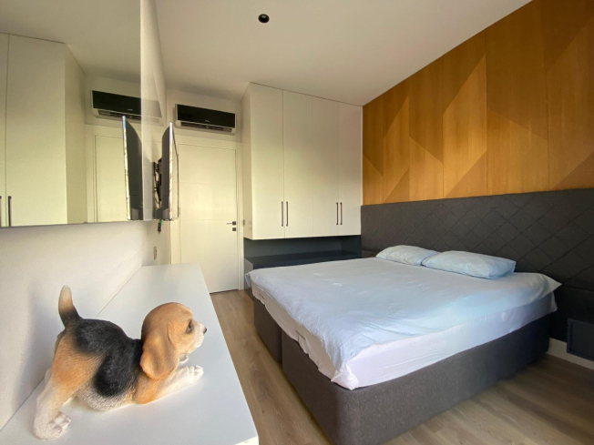 Modern apartment with stylish design near Cleopatra beach