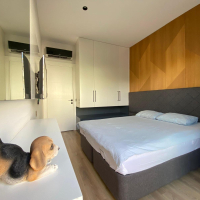 Modern apartment with stylish design near Cleopatra beach