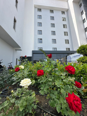 Modern 1+1 Apartment in Gazipaşa — New Residence with Pool and Installment Plan