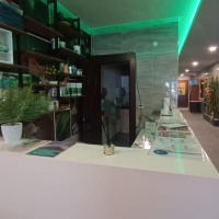 Modern Furnished 1+1 Apartment Near the Sea in Kargicak — Perfect for Living & Rental Income