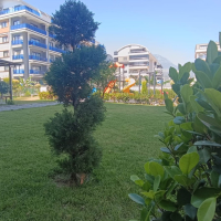 Modern Furnished 1+1 Apartment Near the Sea in Kargicak — Perfect for Living & Rental Income