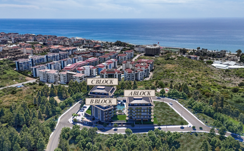 Premium investment project in Kestel with 0% installment plan