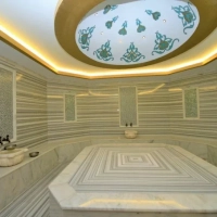 Fully Furnished 1+1 Apartment Suitable for Living and Rental in Alanya