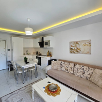 Fully Furnished 1+1 Apartment Suitable for Living and Rental in Alanya