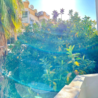 Modern 1+1 Apartment Near Cleopatra Beach — Ideal for Rental and Residence Permit