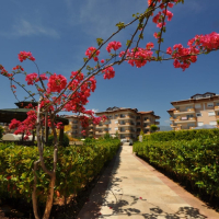 Spacious 3+1 duplex apartment in Oba, Alanya — family living in a residence with resort-style infrastructure