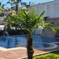 Spacious 3+1 Garden Duplex in Kargicak Alanya — Residence with Resort-Style Infrastructure