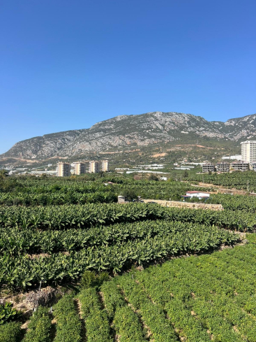 Buy a 1+1 Apartment in Mahmutlar, Alanya — Furnished Apartment with Open Mountain Views for €66,000