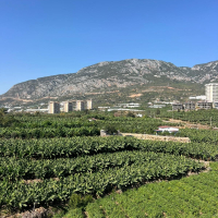 Buy a 1+1 Apartment in Mahmutlar, Alanya — Furnished Apartment with Open Mountain Views for €66,000